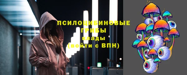 дживик Арсеньев