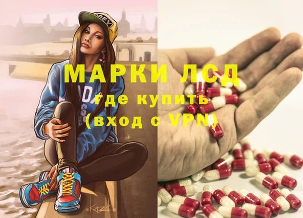 прущие грибы Снежногорск