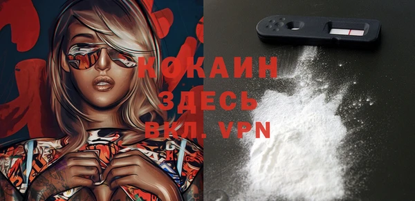 дживик Арсеньев