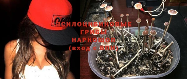 дживик Арсеньев